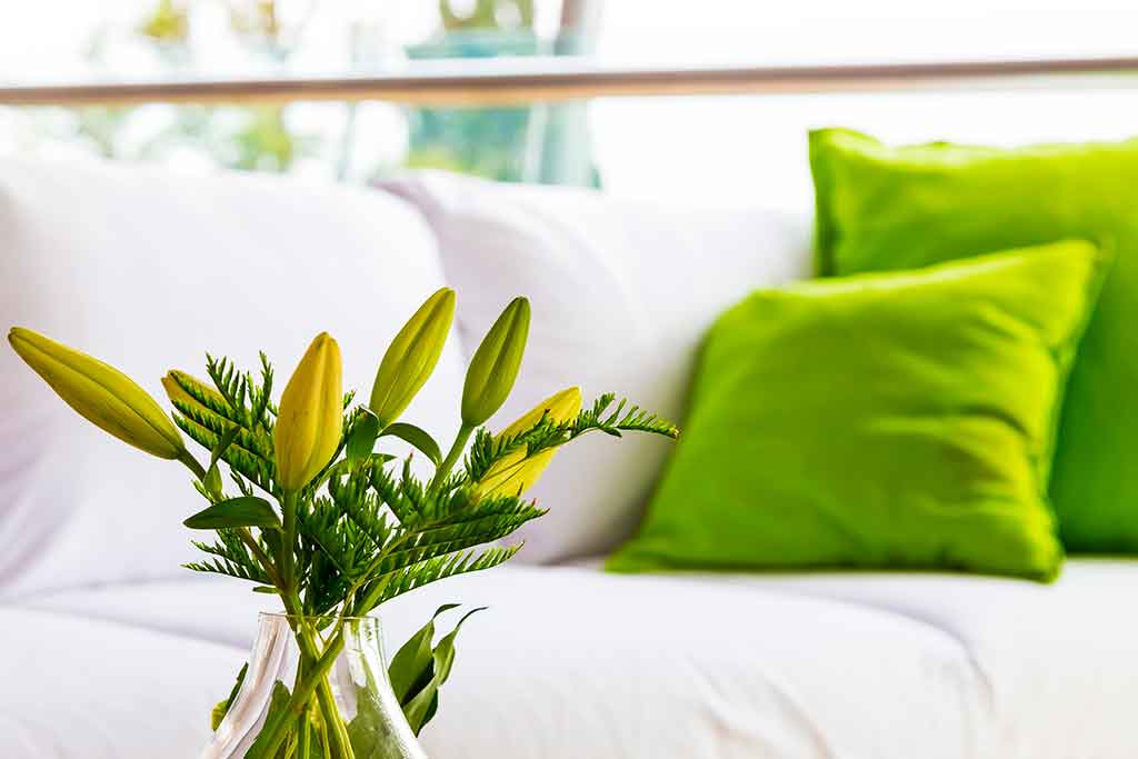 greensofa